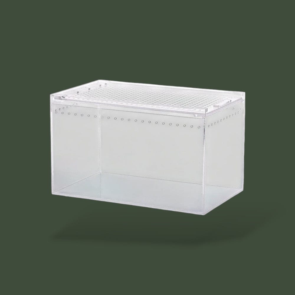 Boîte en acrylique avec aération pour reptile
