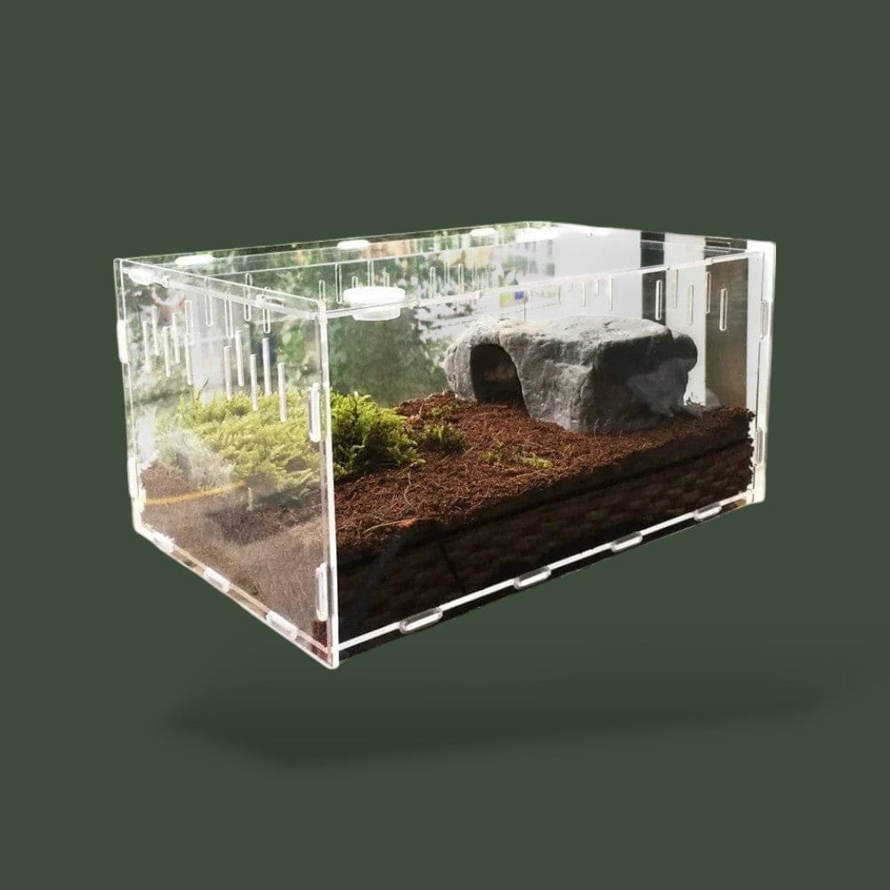 Boîte ventilée en plastique pour reptile