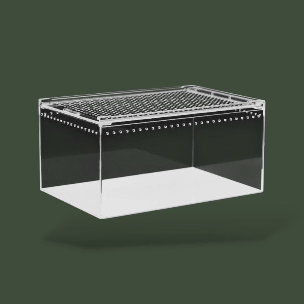 Boîte en acrylique pour reptiles dans terrarium