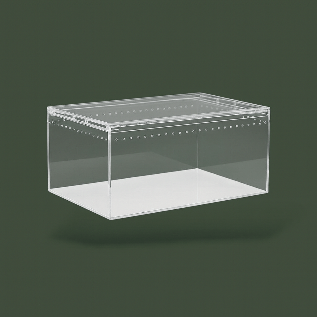 Terrarium pour araignée