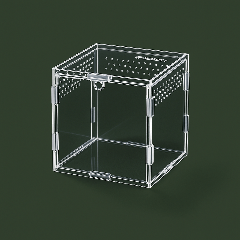 Boîte en acrylique ventilée pour araignée