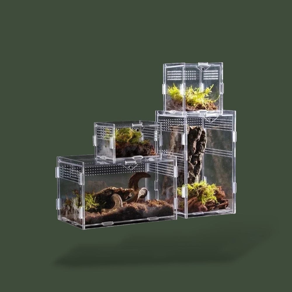 Boîte verticale en acrylique ventilée pour reptile