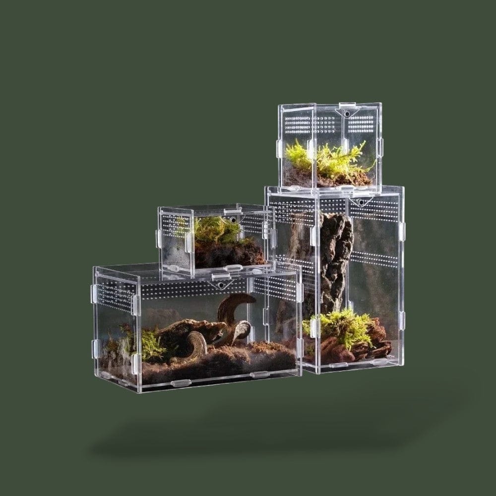 Habitat ventilée pour tortue en acrylique