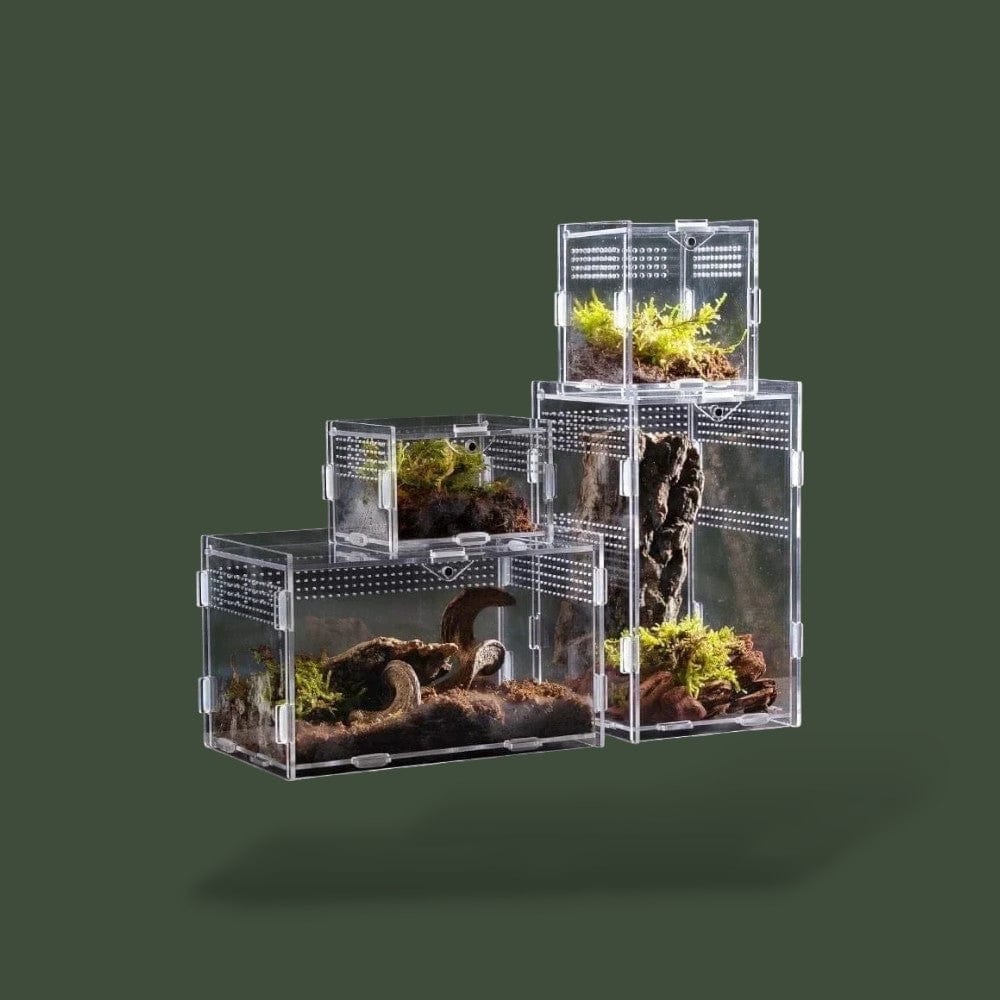 Terrarium ventilé pour serpent petit – TerrariumStore