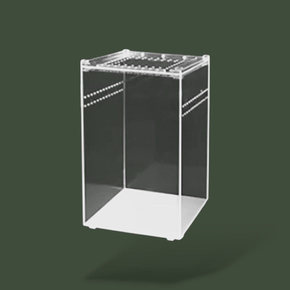 Terrarium pour serpent en acrylique