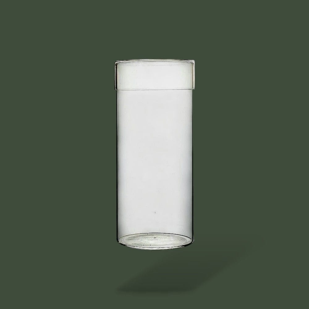 Terrarium pour plante en cylindre