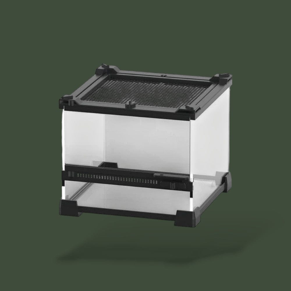 Terrarium transparent en verre pour reptile