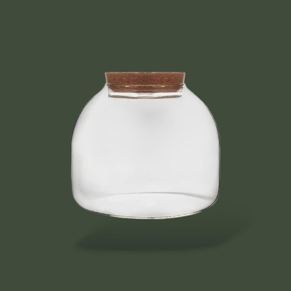 Vase en verre transparent pour terrarium - TerrariumStore