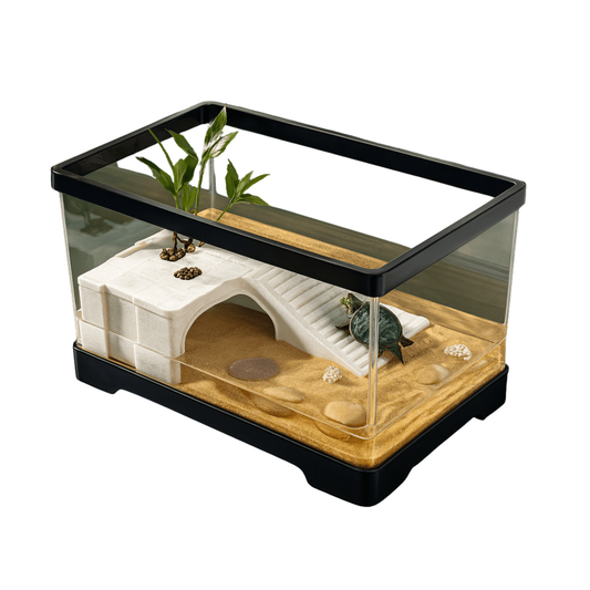Habitat pour tortue de terre en verre