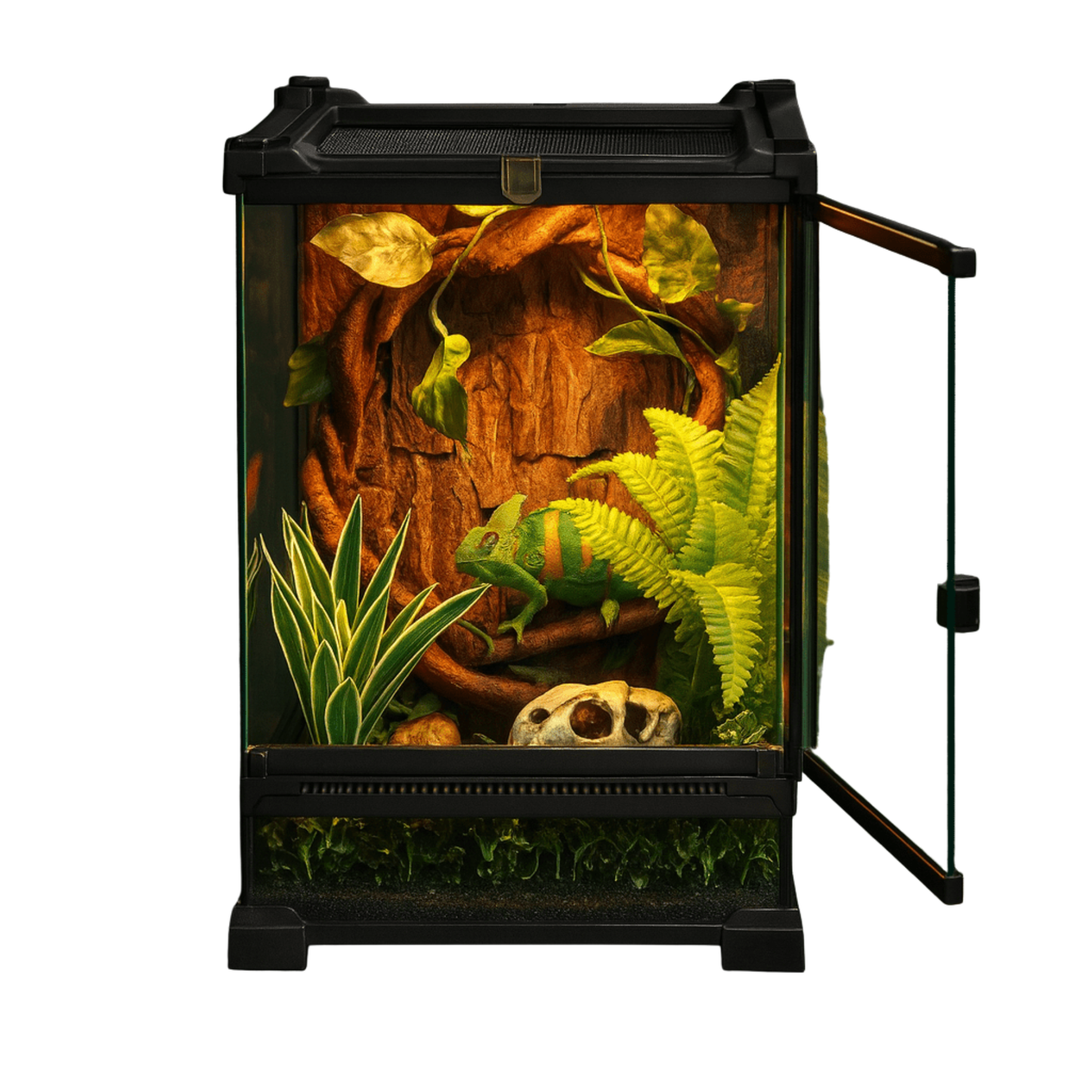 Terrarium en verre grand pour reptile