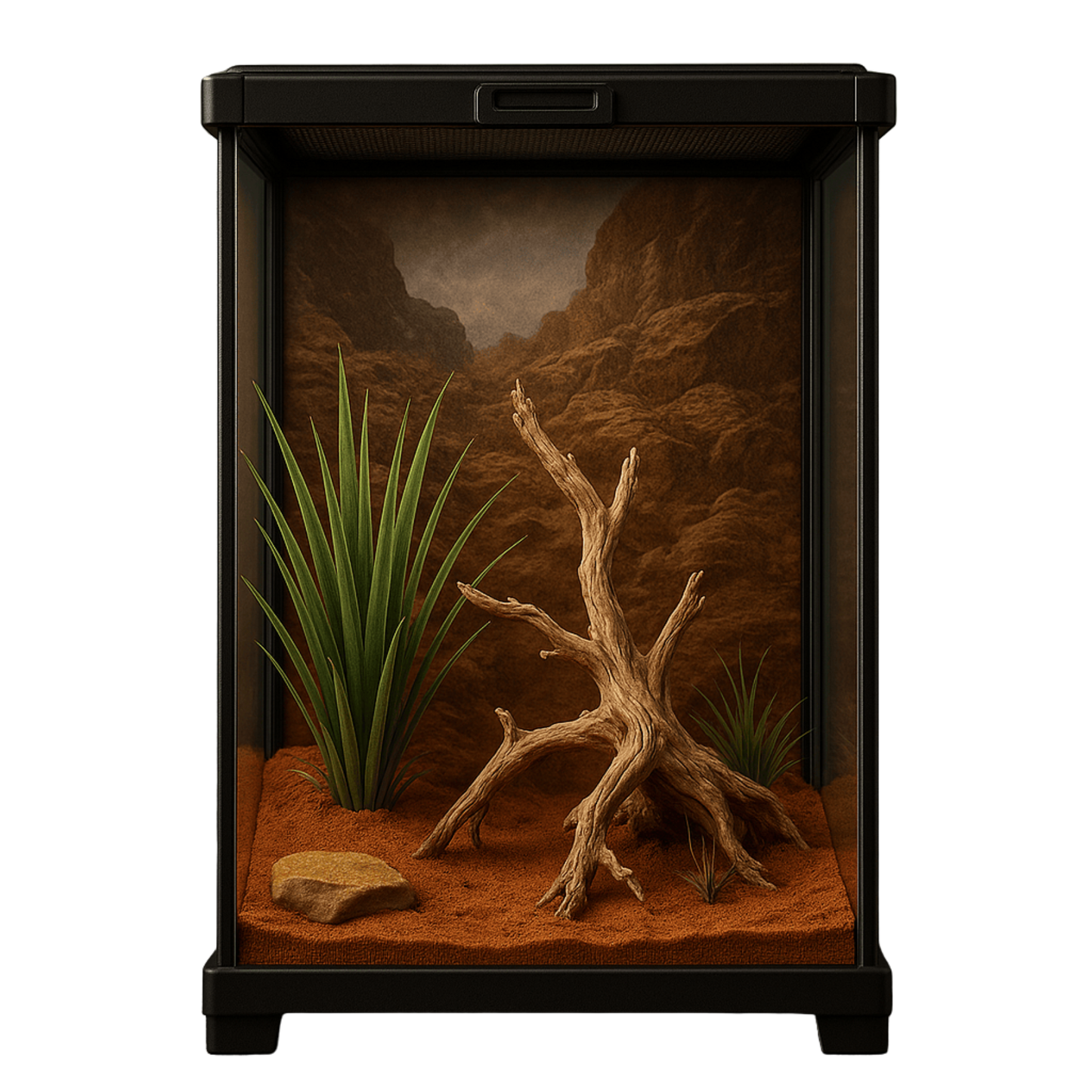 Terrarium en verre grand pour geckos