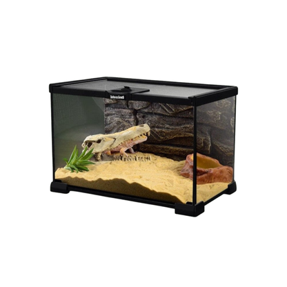 Terrarium grand pour gecko léopard