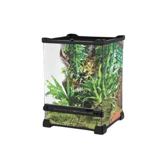 Terrarium transparent en verre pour reptile
