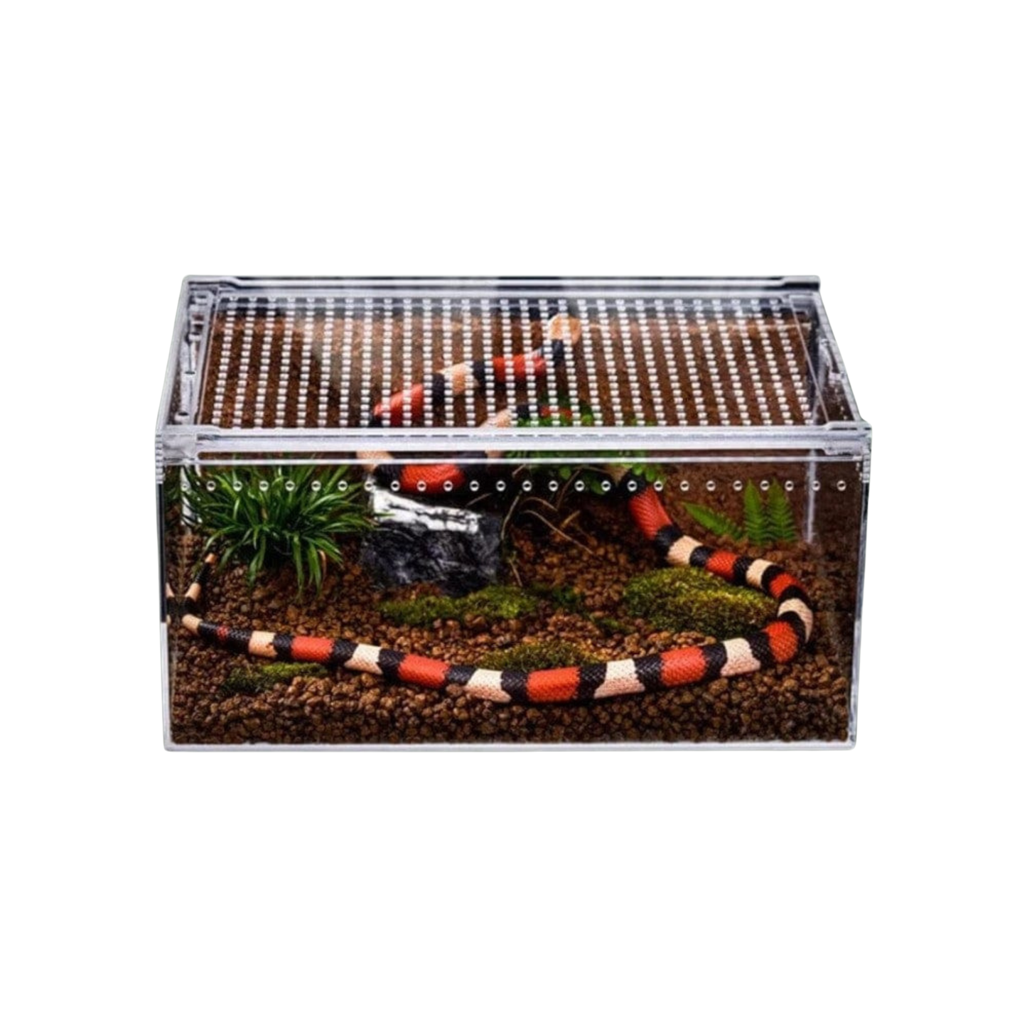 Boîte grande ventilée en acrylique pour reptile