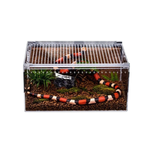 Boîte grande ventilée en acrylique pour reptile