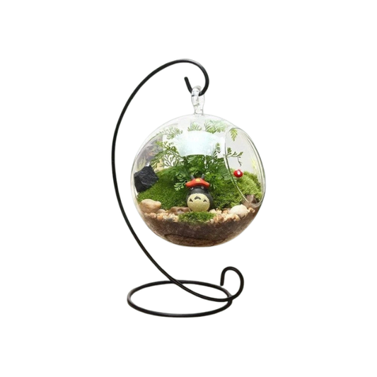 Terrarium suspendu en verre