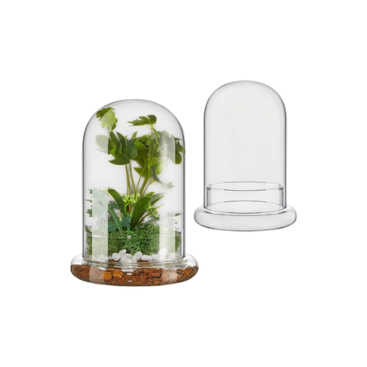 Terrarium pour plante en dôme