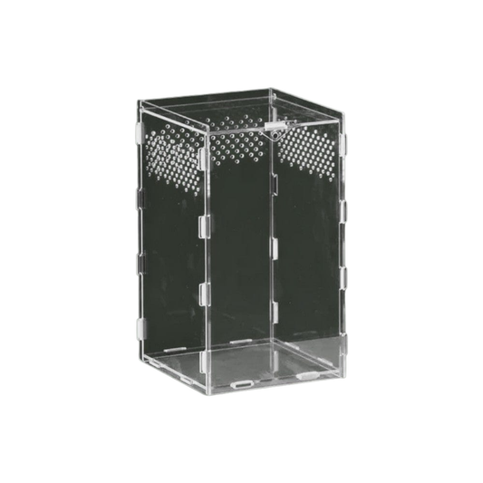 Boîte verticale en acrylique ventilée pour reptile