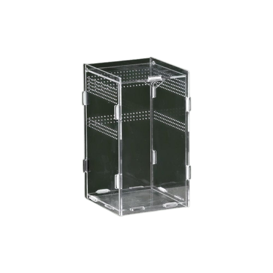 Boîte verticale en acrylique pour reptile