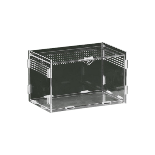 Terrarium ventilée en acrylique pour reptile