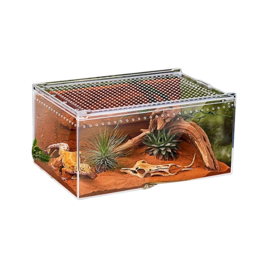 Terrarium pour serpent en acrylique