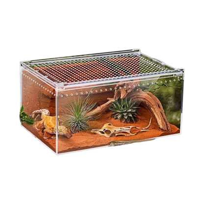 Boîte en acrylique avec aération pour reptile