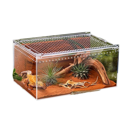 Boîte en acrylique avec aération pour reptile
