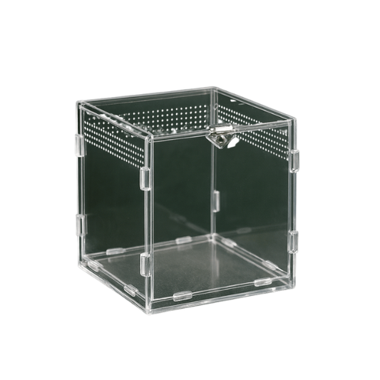 Boîte en plastique ventilée pour reptile
