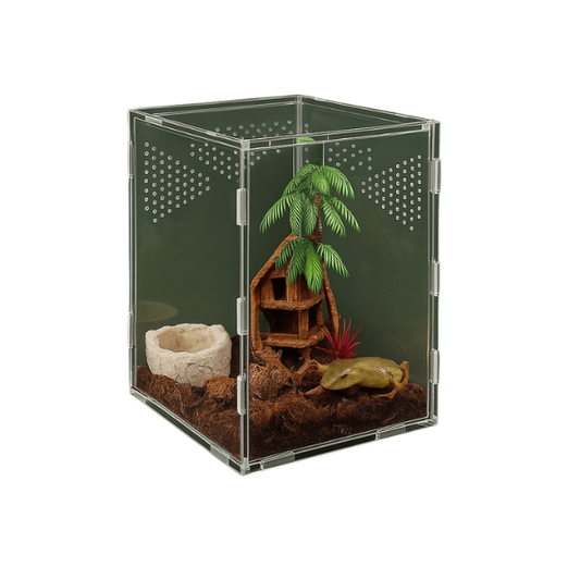 Boîte en acrylique ventilée pour araignée