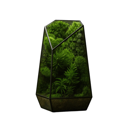 Bocal en verre design pour plantes