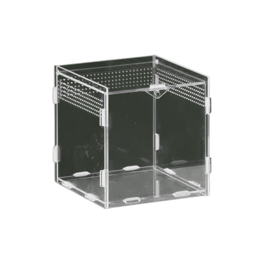 Terrarium ventilée en acrylique petit pour tortue terrestre