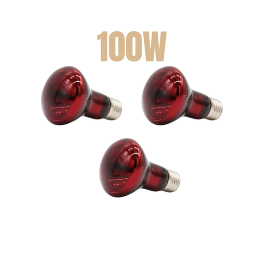 Lot de 3 lampes 100W chauffantes infrarouge