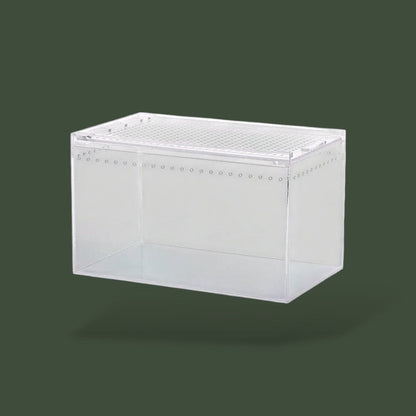 Boîte en acrylique avec aération pour reptile