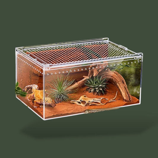 Boîte en acrylique avec aération pour reptile