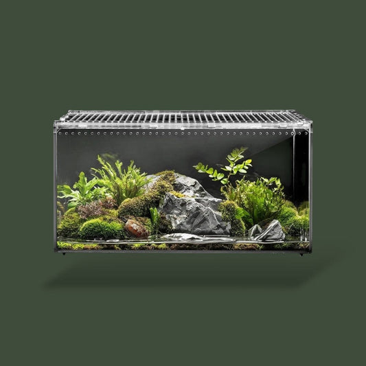 Boîte pour reptile en acrylique avec aération