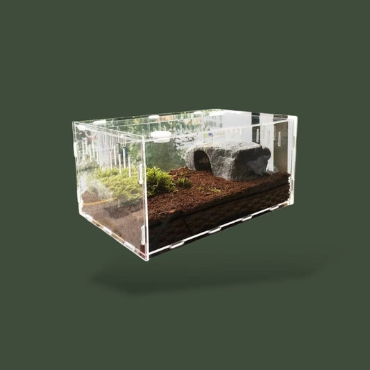 Boîte en acrylique pour reptile