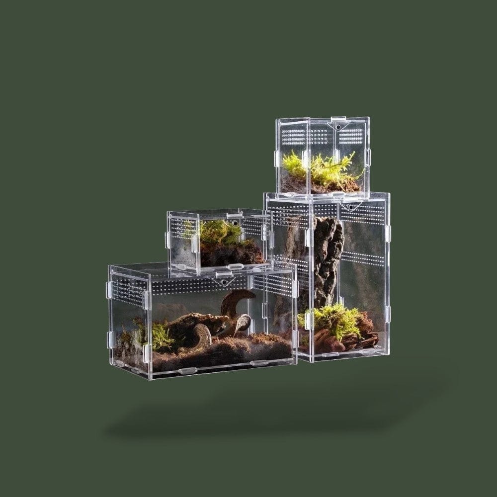 Boîte verticale en acrylique pour reptile