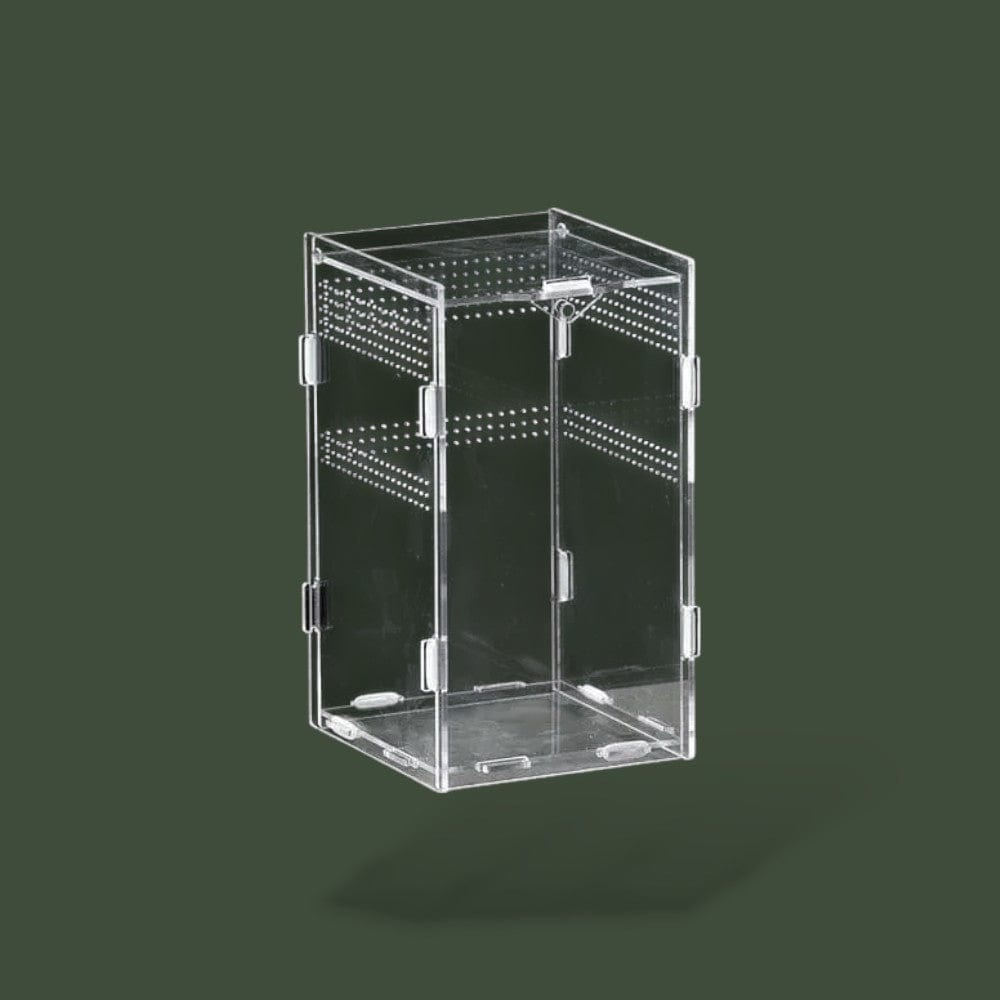 Boîte verticale en acrylique pour reptile