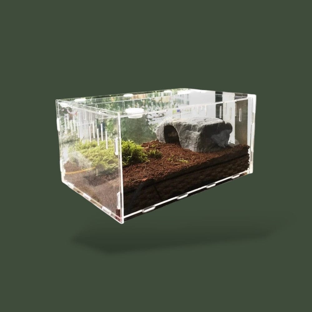 Boîte en acrylique pour reptiles