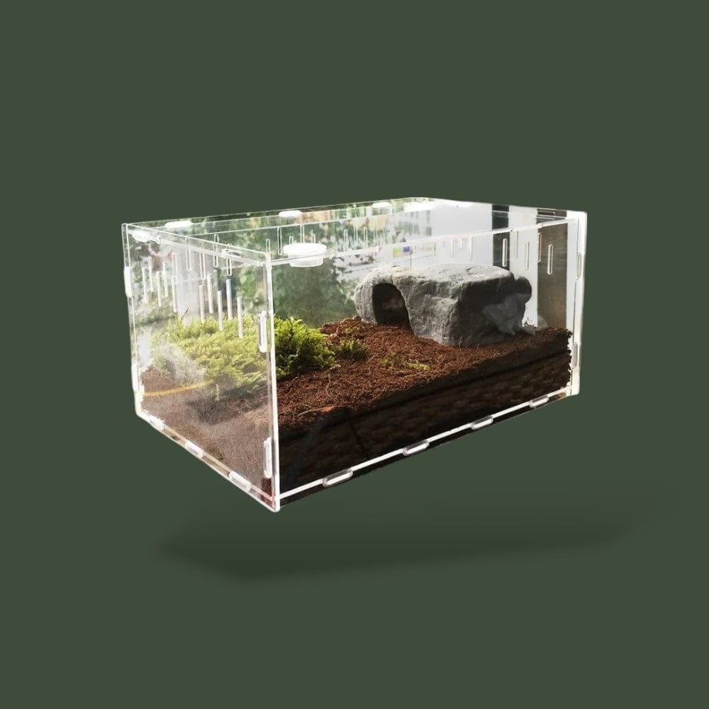 Boîte transparente en acrylique avec hygromètre