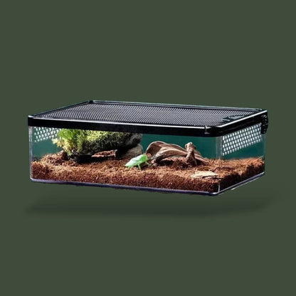 Boîte d’élevage pour reptiles