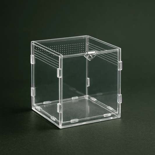 Boîte en plastique ventilée pour reptile