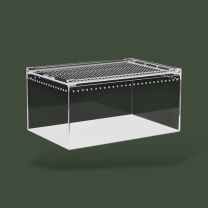 Boîte en acrylique pour reptiles dans terrarium