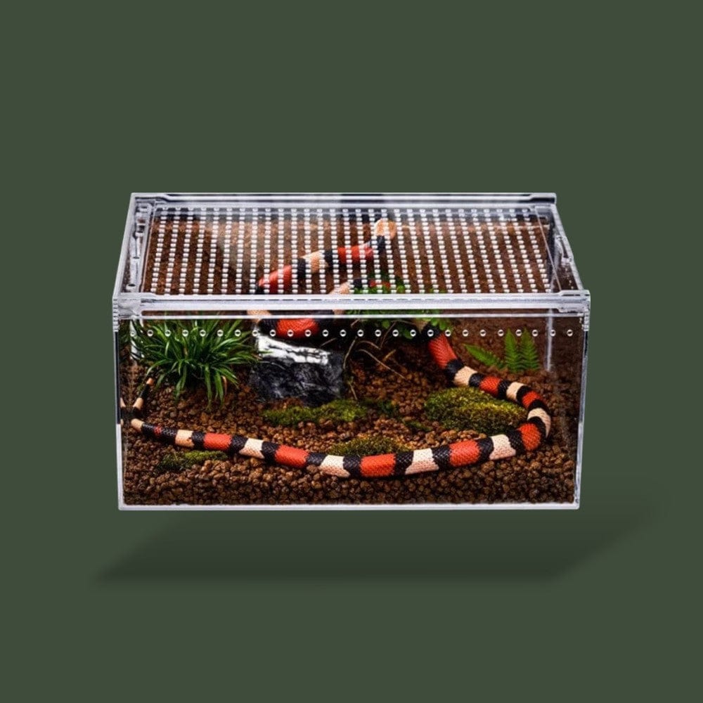 Boîte en acrylique pour reptiles dans terrarium