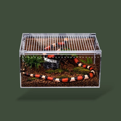 Boîte en acrylique pour reptiles dans terrarium