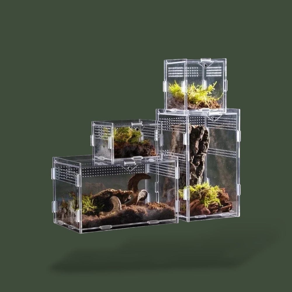 Boîte en plexiglass ventilée pour reptile