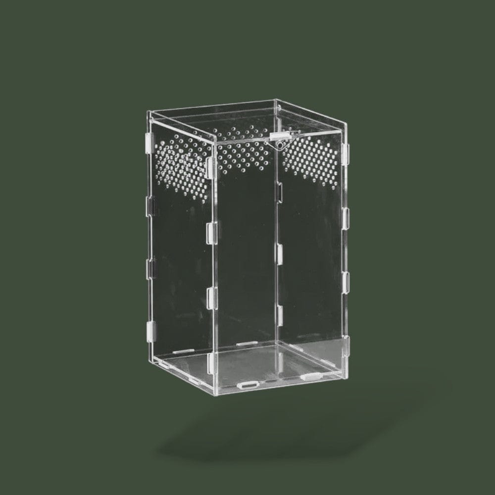 Boîte en plexiglass ventilée pour reptile