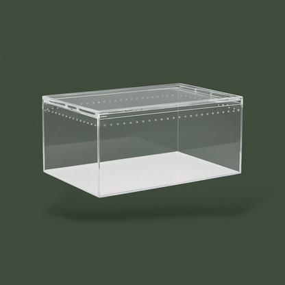 Terrarium pour araignée