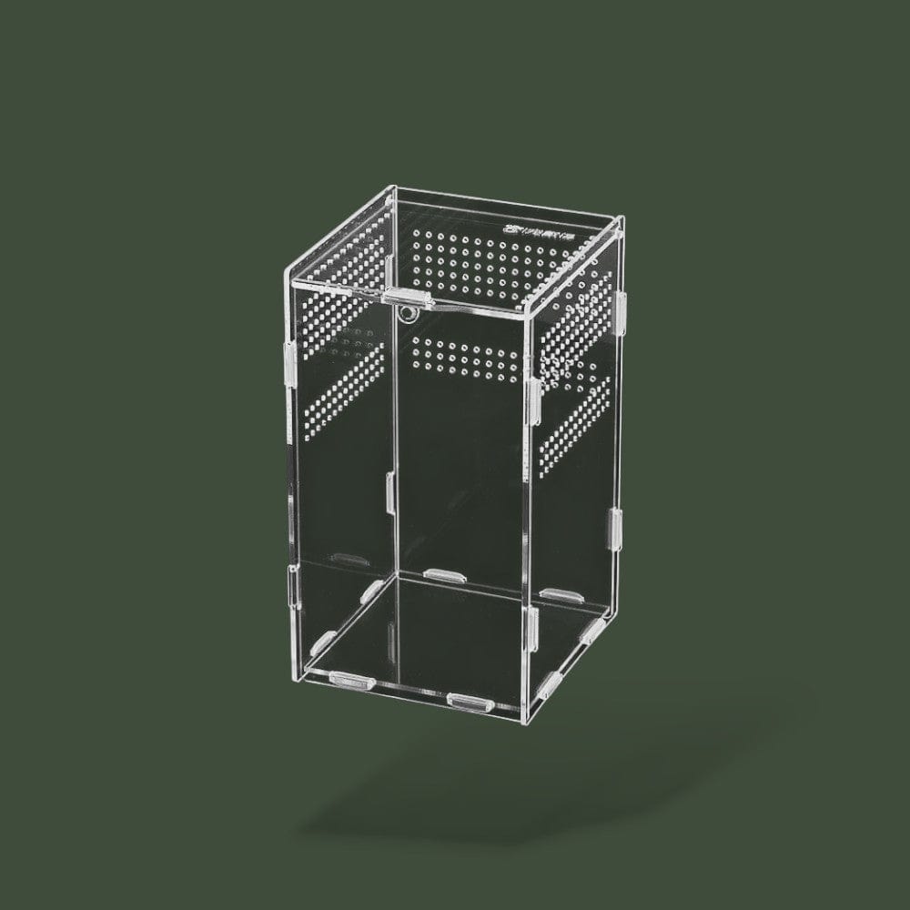 Boîte transparente ventilée pour reptile