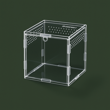 Boîte en acrylique ventilée pour araignée